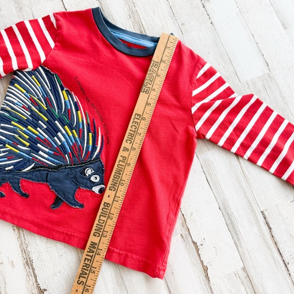 Mini Boden Porcupine Appliqué Red Long Sleeve T-Shirt Striped Boys 2-3 Yrs 98cm - Picture 5 of 7